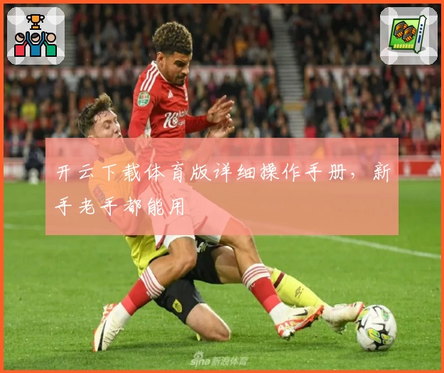 开云下载体育版详细操作手册，新手老手都能用