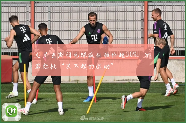 尤尼克斯羽毛球疯狂涨价超30%：玩家怒批“买不起的运动”