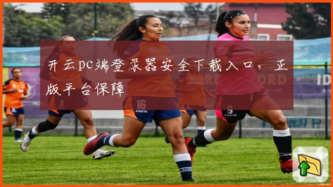 开云pc端登录器安全下载入口,正版平台保障