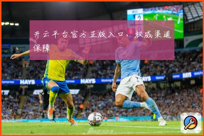 开云平台官方正版入口，权威渠道保障