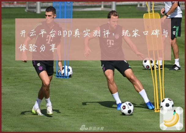 开云平台app真实测评，玩家口碑与体验分享