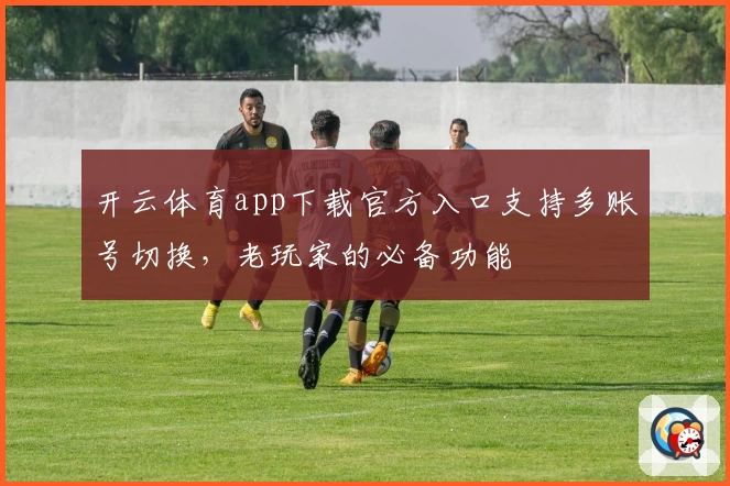 开云体育app下载官方入口支持多账号切换,老玩家的必备功能
