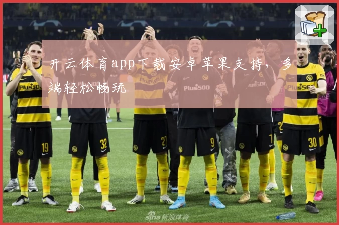 开云体育app下载安卓苹果支持，多端轻松畅玩